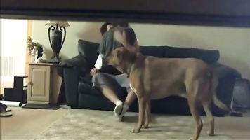Hidden Cam Catches Son With The Neighbor - BadBootyCams.Com