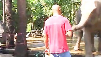 Thai girls BBC Threesome ending in creampie